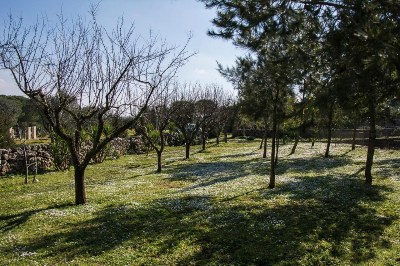 Casale Sombrino Pension Supersano Buitenkant foto