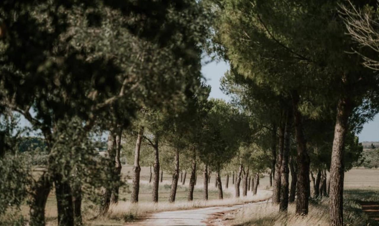 Casale Sombrino Pension Supersano Buitenkant foto