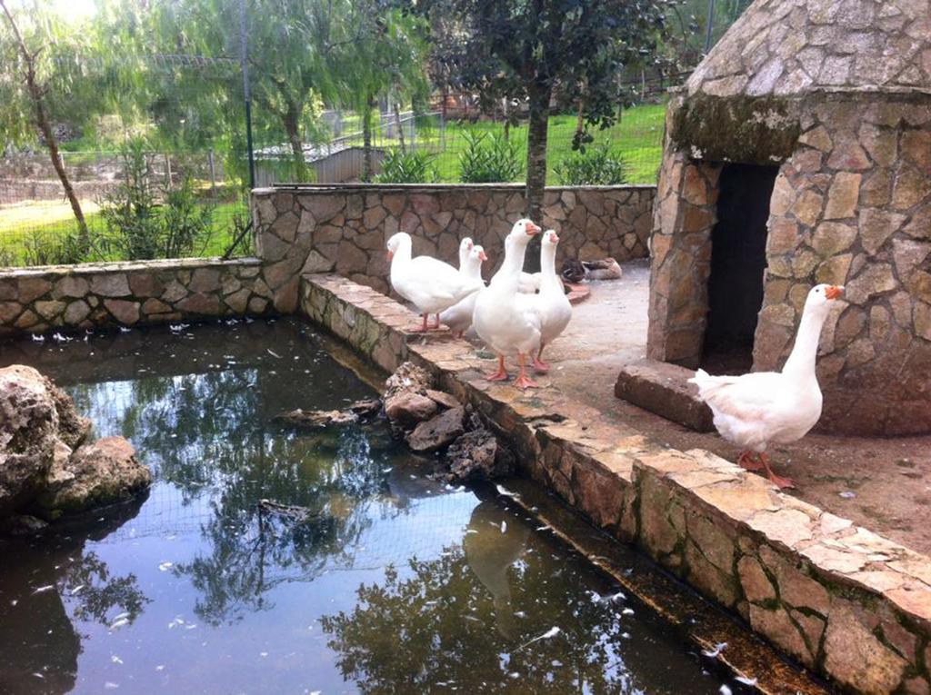 Casale Sombrino Pension Supersano Buitenkant foto