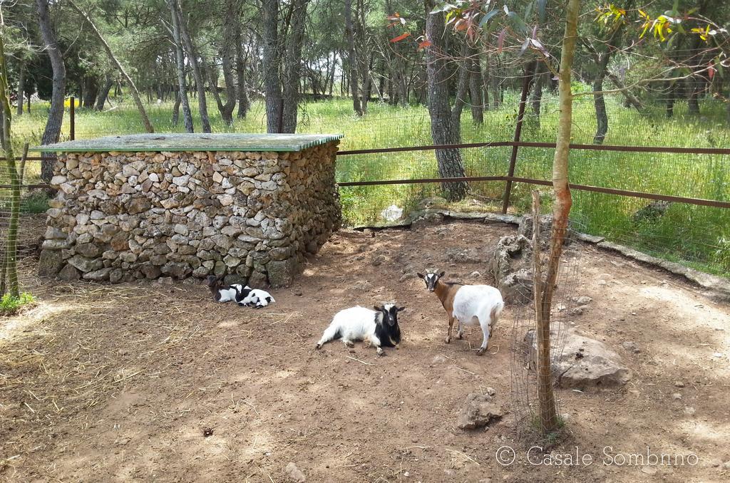 Casale Sombrino Pension Supersano Buitenkant foto
